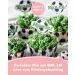 Happy Sprinkles Football Champion 90g - Chocolate Sprinkle Mix for Cookies Ice Cream & Cakes | Ideal Tortendeko for Football Parties - Buy Online on GoSupps.com