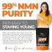 Nutrality NAD+ Supplement 1000mg | Enhanced Absorption Powerful Energy Booster Supports Aging & Metabolism | Vegan (30g) - Buy Online on GoSupps.com