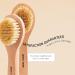 Dry Brushing Body Brush for Lymphatic Drainage - Dry Brushing Body Brush - Dry Brush for Cellulite and Lymphatic - Body Brush for Dry Brushing Natural - Body Exfoliator Brush by Grace and Stella - Buy Online on GoSupps.com