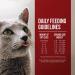 Fussie Cat Market Fresh Grain-Free Chicken & Turkey Dry Cat Food - 4lb Pack - Buy Online on GoSupps.com