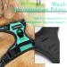 Rabbitgoo Medium Dog Harness - No Pull Adjustable Breathable Control Harness for Large Dogs - Reflex Stripes Safe Guide in Mint Green (1 Pack) - Buy Online on GoSupps.com