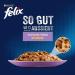Buy FELIX As Good As It Looks Mixed Variety in Jelly Wet Cat Food - 44x85g Portion Bags - International Shipping Available - Buy Online on GoSupps.com