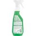 Frosch Glass Cleaner Spray 750 ml - Buy Online on GoSupps.com