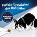FELIX Tasty Nuggets Cat Snack with Chicken & Duck - Pack of 6 (6 x 180g) | International Shipping - Buy Online on GoSupps.com