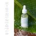 Matcha Face Oil - Hydrating Green Tea & Sea Kelp Blend for Glowing Skin - Vegan Antioxidant Moisturizer for All Skin Types - 1 Fl Oz - Buy Online on GoSupps.com