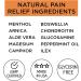 OMAX CryoFreeze Sport ICY Cold Pain Relief Roll-On - 8.5% Menthol - Natural Pain Relief (3 Bottles) - Buy Online on GoSupps.com