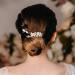 AW BRIDAL Gold Flower Hair Clip Wedding Hair Comb Barrette - Bridal Hair Accessories for Women & Girls - Buy Online on GoSupps.com