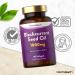 Blackcurrant Seed Oil 1000mg Softgels - 90 Capsules | Natural Source of GLA | High Strength Supplement - Buy Online on GoSupps.com