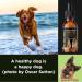 Buy Busters Hip and Joint Hemp Oil Formula for Dogs | Glucosamine Enriched Pain Relief & Mobility Support for Pets - Buy Online on GoSupps.com