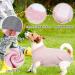 Buy Hjumarayan Dog Body After Op - Breathable Castration Medical Suit for Small to Large Dogs - Comfortable Alternative to Ruff - Pink - Buy Online on GoSupps.com