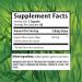 blue green algae spirulina - BLUE GREEN ALGAE 500MG from Klamath Lake - blue green algae klamath lake spirulina chlorella organic spirulina chlorella blue green algae powder 1 Bottle 60 Capsules - Buy Online on GoSupps.com