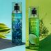 Body Mist Set (Coconut Lime Passionate Island) 5 Fl Oz Each Pack of 2 Fragrance Mist for Men & Women - Buy Online on GoSupps.com