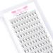 Premade Fans Eyelash Extensions 9D-D-0.07-12 Premade Volume Lash Extensions Pointed Base Fans 0.07 Premade Volume Fans C D Curl(9D-D-0.07 12mm)