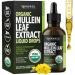 Mullein Drops for Lungs - USDA Organic Mullein Leaf Extract - Respiratory Health and Lung Support Supplement - 2 Fl Oz - Vegan Non-GMO and Alcohol Free Formula - Herbal Tincture - 2 Month Supply