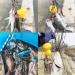 SRRPS PIGEON Fish Stringer with Reel - Steel Wire Float Fishing Stringer with 10 Stainless Steel Snaps in Red - Buy Online on GoSupps.com