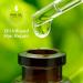 Macadamia Professional Thermal Protectant Hair Spray 5oz - Heat Protection and Styling Essential - Buy Online on GoSupps.com