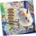BESPORTBLE Rabbit Chew Snack for Teeth Parrots Biting Playthings Small Pet Chew Snack - Buy Online on GoSupps.com