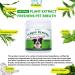 Petstoral Natural Dog Dental Powder Dog Dental Care - Plaque Remover and Bad Breath Treatment Healthy Gums & Fresh Breath for All Dogs and Cats (1) - Buy Online on GoSupps.com
