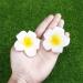 Minkissy 100Pcs 6CM Hawaiian Plumeria Foam Flowers - Artificial Frangipani for DIY Hair Hat Wedding & Beach Party Decor (White) - Buy Online on GoSupps.com