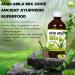 Basic Ayurveda Gooseberry + Aloe Vera Juice 16.23 Fl Oz (480ml) | 50-Fifty Herbal Mix for Immunity Digestion & Skin Health | Amla & Aloe Blend | 100% Natural | Daily Ayurvedic Tonic - Buy Online on GoSupps.com