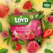 Mokate Loyd Raspberry & Strawberry Pyramid 20 Teabags 40 g - Buy Online on GoSupps.com