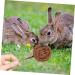 Hohopeti 10pcs Pet Lollipop Pet Chewing Sticks Hamster Chewing Playthings Guinea Pig Chew Plant - Buy Online on GoSupps.com