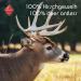 Chronobalance S Antlers for Dogs - 100% Natural Deer Antler Chew Toys & Dental Treats - Whole Pieces Additive-Free - Buy Online on GoSupps.com