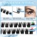 Morning D-Mix Cluster Lashes 84 Pcs | DIY Cluster Eyelash Extensions | Individual Lashes Thin Band & Soft | 8-16mm Length - Buy Online on GoSupps.com