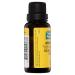 Thursday Plantation Arnica Oil for Inflammation & Bruise Relief - Shop Internationally - Buy Online on GoSupps.com