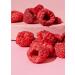 KoRo - Framboises lyophilis es 350 g - 100 % framboises sans additifs - Riche en fibres - Fruit et aromatique - En garniture pour le muesli les chocolats ou comme collation entre les repas - Buy Online on GoSupps.com
