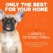 ANGRY ORANGE Pet Odor Eliminator - Citrus Deodorizer for Dog & Cat Urine on Carpets, Furniture & Floors - Buy Online on GoSupps.com