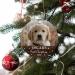 Personalized Dog's First Christmas Photo Ornament | Custom Pet Memorial Gift 2022 - Buy Online on GoSupps.com