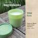 Shop Paddywax Firefly Optimist Scented Candle - 7oz Soy Wax Wild Fern Fragrance Reusable Glass Jar | International Shipping Available - Buy Online on GoSupps.com