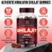1000 mg Premium Himalayan Shilajit Gummies for Men and Women | Sugar-Free Organic | Non-GMO | Vegan-Friendly | Energy & Focus Boost - Immune Support | 60 Gummies 60 Count (Pack of 1) - Buy Online on GoSupps.com