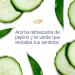 Dove Soap Cucumber & Green Tea 4.75oz (Pack of 8) - Refreshing and Nourishing Formula - Buy Online on GoSupps.com