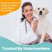 Nootie Waterless Shampoo Wipes for Dogs & Cats - Long Lasting Sweet Pea & Vanilla Fragrance - 70 Count - Made in USA - Trusted by 3000+ Vet Clinics - Buy Online on GoSupps.com