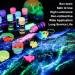 Glow in The Dark Pigment Powder Set - 12 Colors, 20g Each Bottle for Epoxy Resin, Slime, Nails, Acrylic Paint & DIY Crafts - Buy Online on GoSupps.com