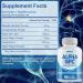 SXNWSN Alpha GPC Cognitive Support - 300mg with Bacopa & Ginkgo Biloba | Brain Health Supplement for Memory & Focus | 90 Vegan Capsules  - Buy Online on GoSupps.com