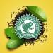 Lipton Loose Black Tea - 8 oz: Perfect for Iced Tea or Hot Beverage, Supports Heart Health - Buy Online on GoSupps.com