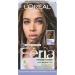 L Or al Paris Feria Toner Long Lasting Anti-Brass Hair Toner for Brunettes Vegan and Ammonia-Free Hair Care Formula Iced Brunette 1 Kit