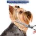 Gimars 3 in 1 Professional Dog Grooming Scissors Kit with Titanium Coated Shears & Comb Set - Buy Online on GoSupps.com