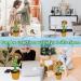 Dancing Cactus Voice Recorder Baby Toy with 120 Fun Songs - Educational Gift and Home Decor - Volume Control - Talking Cactus for Kids - Buy Online on GoSupps.com
