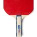 JOOLA Tour Carrying Case with Ping Pong Paddle, 18 Competition Balls, and Room for 2 Rackets - Durable High Density EVA Foam Lining - Table Tennis Storage Solution - Buy Online on GoSupps.com
