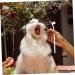 Parliky 2pcs Portable Cleaners Tooth Pet Cleaning Supplies Dog Oral Care Soft-bristle Pets Tools Home 1 count (Pack of 1) White - Buy Online on GoSupps.com