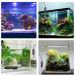 AQQA Small Aquarium Heater Submersible Fish Tank Heater Adjustable Temperature Mini Short Dual-use Fish Heater with LED Digital Display Thermostat Saltwater Freshwater 50W 50W(for 3-10 gal) - Buy Online on GoSupps.com