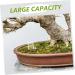 Toddmomy Pet Water Feeder Ants Feeding Bowl Ants Watering Cup Small Ants Feeder Ants Feed Bowl Plastic 1 count (Pack of 1) - Buy Online on GoSupps.com
