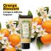 Panier des Sens - Orange Blossom Moisturizing Body Wash for Women & Men - Gentle Shower Gel 95% Natural Ingredients for Normal Sensitive Skin - Body Care Made in France SLS Free Vegan - 6.8 Floz 6.8 Fl Oz (Pack of 1) - Buy Online on GoSupps.com