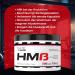 Hi Tec Nutrition HMB Supplements | 400 Tasteless Capsules for Muscle & Endurance Booster | Anti-Catabolic & Anabolic Properties - Buy Online on GoSupps.com
