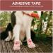 HANABASS Self Adhesive Bandages Wrap - 3 Rolls Non-Woven Breathable Vet Wrap for Dog Protection | International Shipping Available - Buy Online on GoSupps.com
