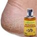 Fountain Real Black Jamaican Castor Oil - 4 Ounces | Premium Natural Hair & Skin Care - Fast International Shipping - Buy Online on GoSupps.com